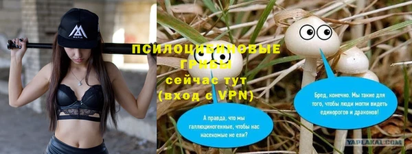 альфа пвп Богданович