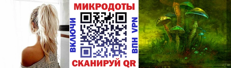 Псилоцибиновые грибы Psilocybine cubensis  Новоузенск 