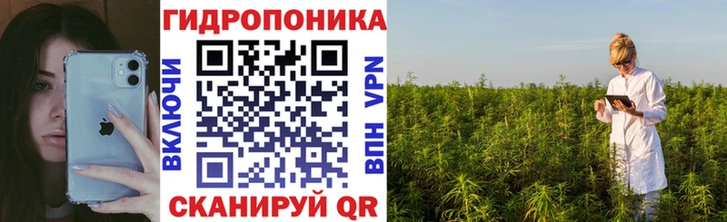 MEGA сайт  Новоузенск  МАРИХУАНА семена  купить  сайты 
